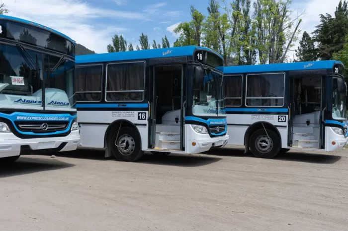San Martín: nuevas unidades para el transporte público